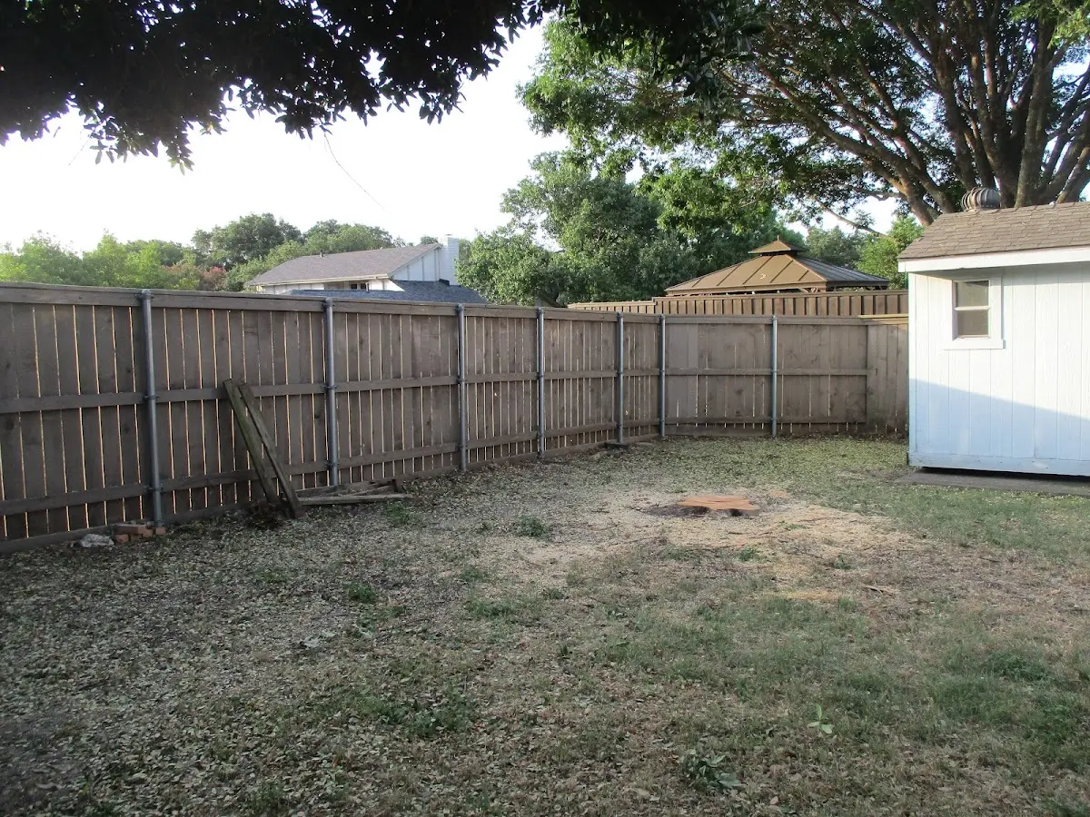 Cleared yard after professional tree removal in Organ